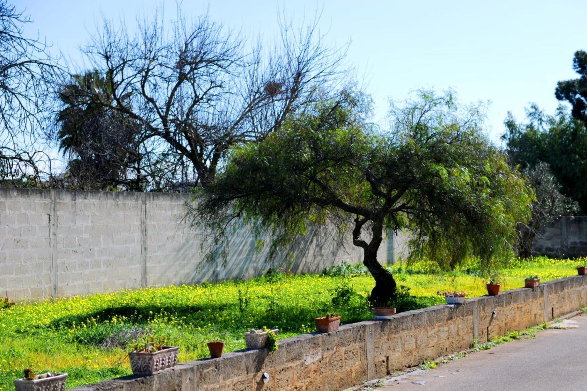 Le Residenze Salentine - Case Vacanza In Lecce Ngoại thất bức ảnh